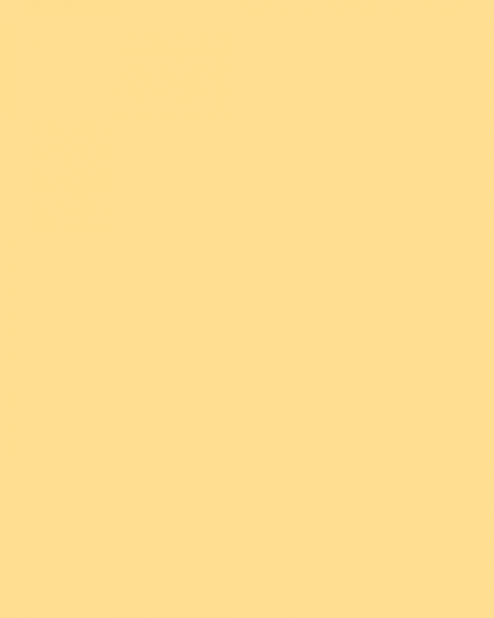 From midday today organisations will no longer be able to report allegations of reportable conduct via our webform or child safety concerns to the Commission